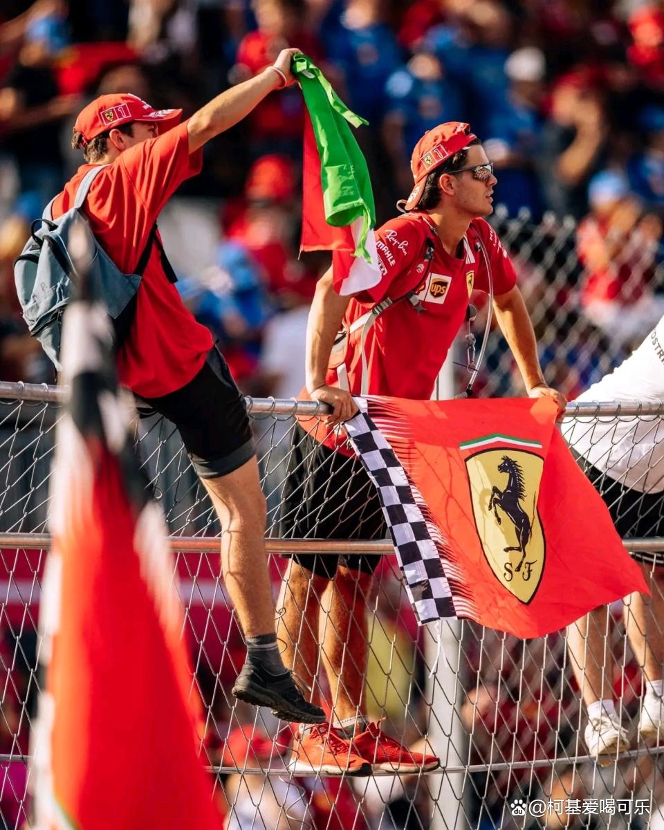 迈凯伦险胜威廉姆斯,汉密尔顿扛起全队 迈凯伦险胜威廉姆斯,汉密尔顿扛起全队