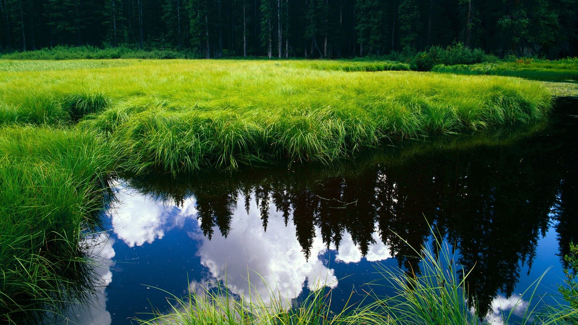 爱游戏APP-涡轮心脏，坎特在都灵之夜的关键节点连续开火