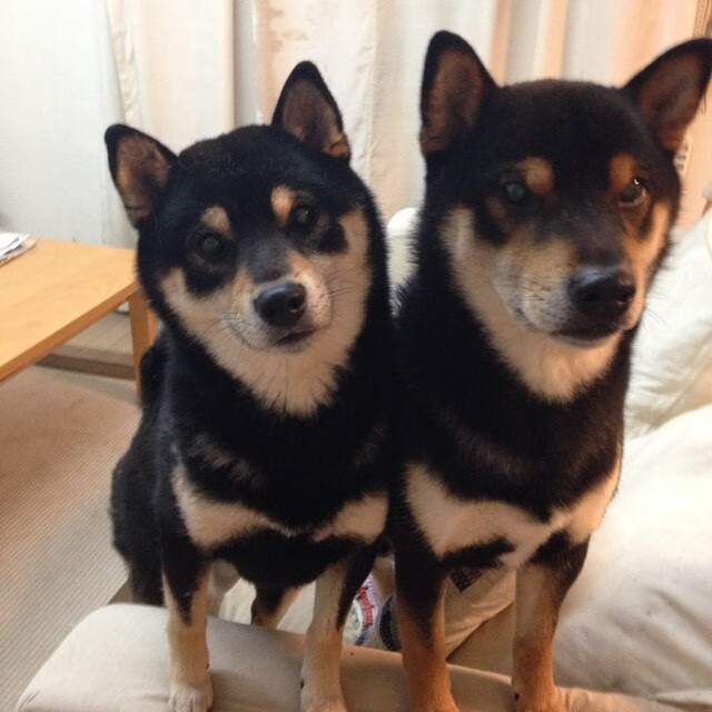 冰与火之歌,梅西于极寒鏖战中熔铸神迹,一役封神定鼎年度焦点