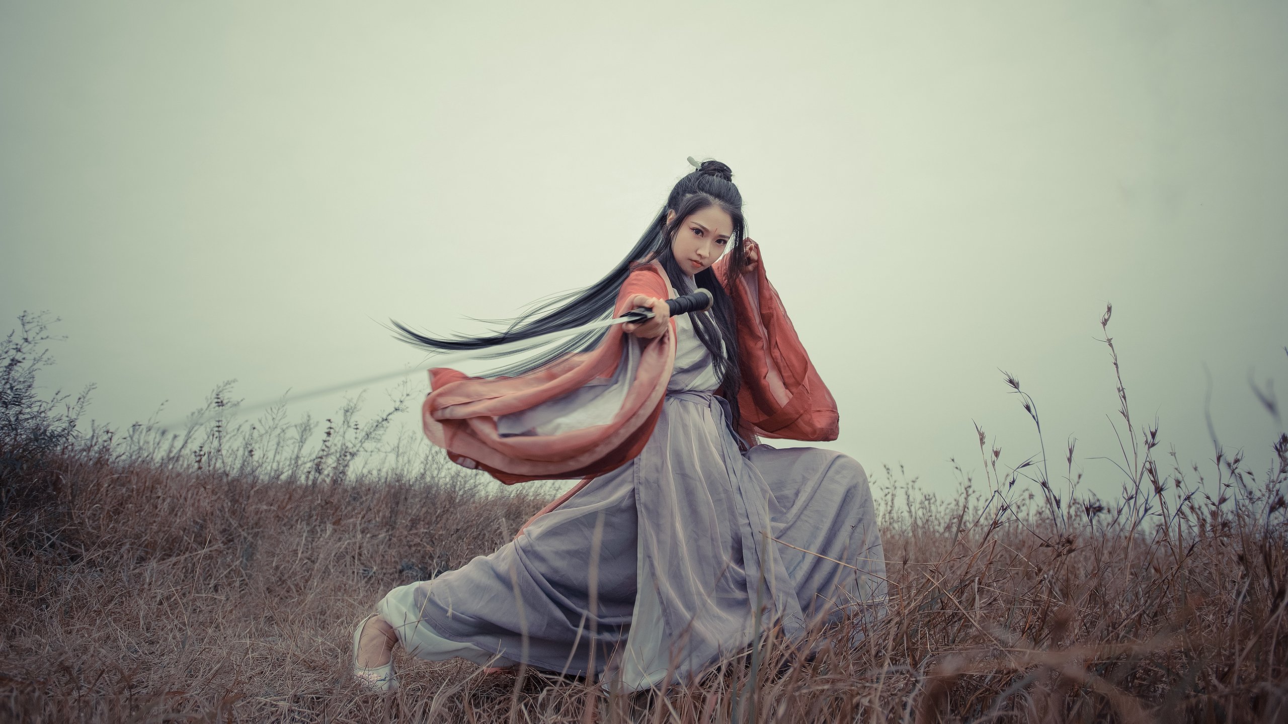 双面神,当伊布在德葡之战中凝视未来