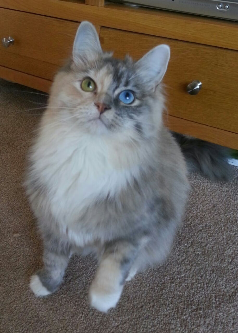 爱游戏-改写篮球世界观，奇才用一场胜利向世界宣告排位争夺战再无定式