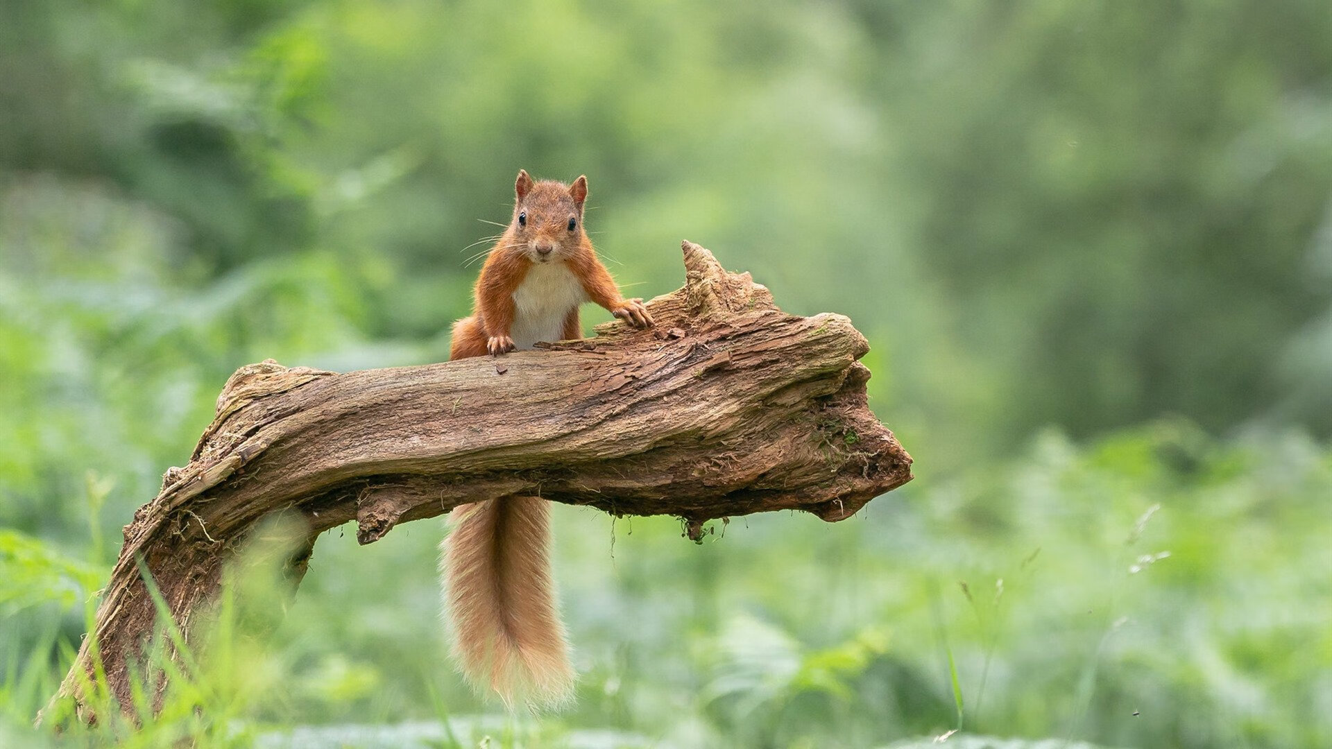 爱游戏官网-扩展思维