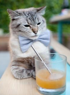 平行时空的交汇点,同一夜,两个足球世界的故事