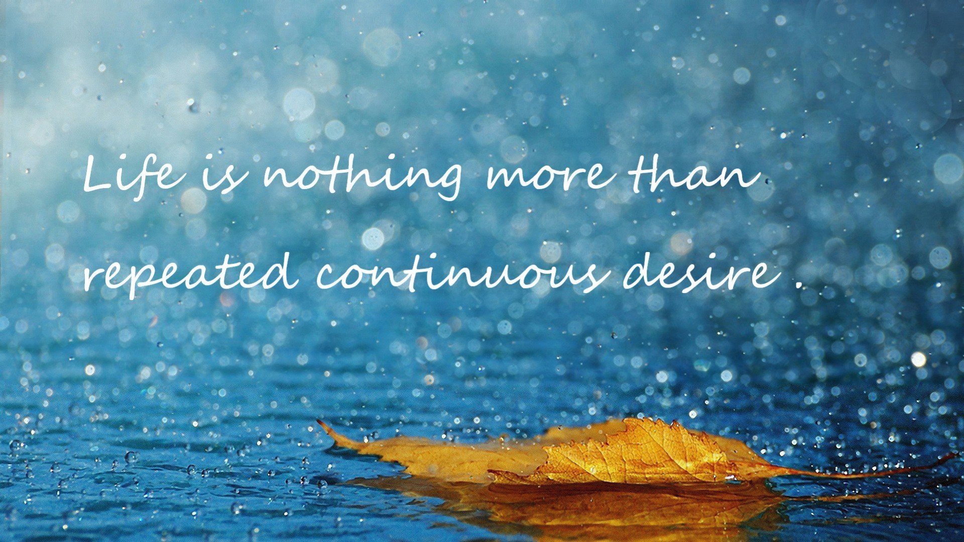 爱游戏tv-巴黎铁幕下的草原孤狼，巴尔韦德刺破北境防线的艺术