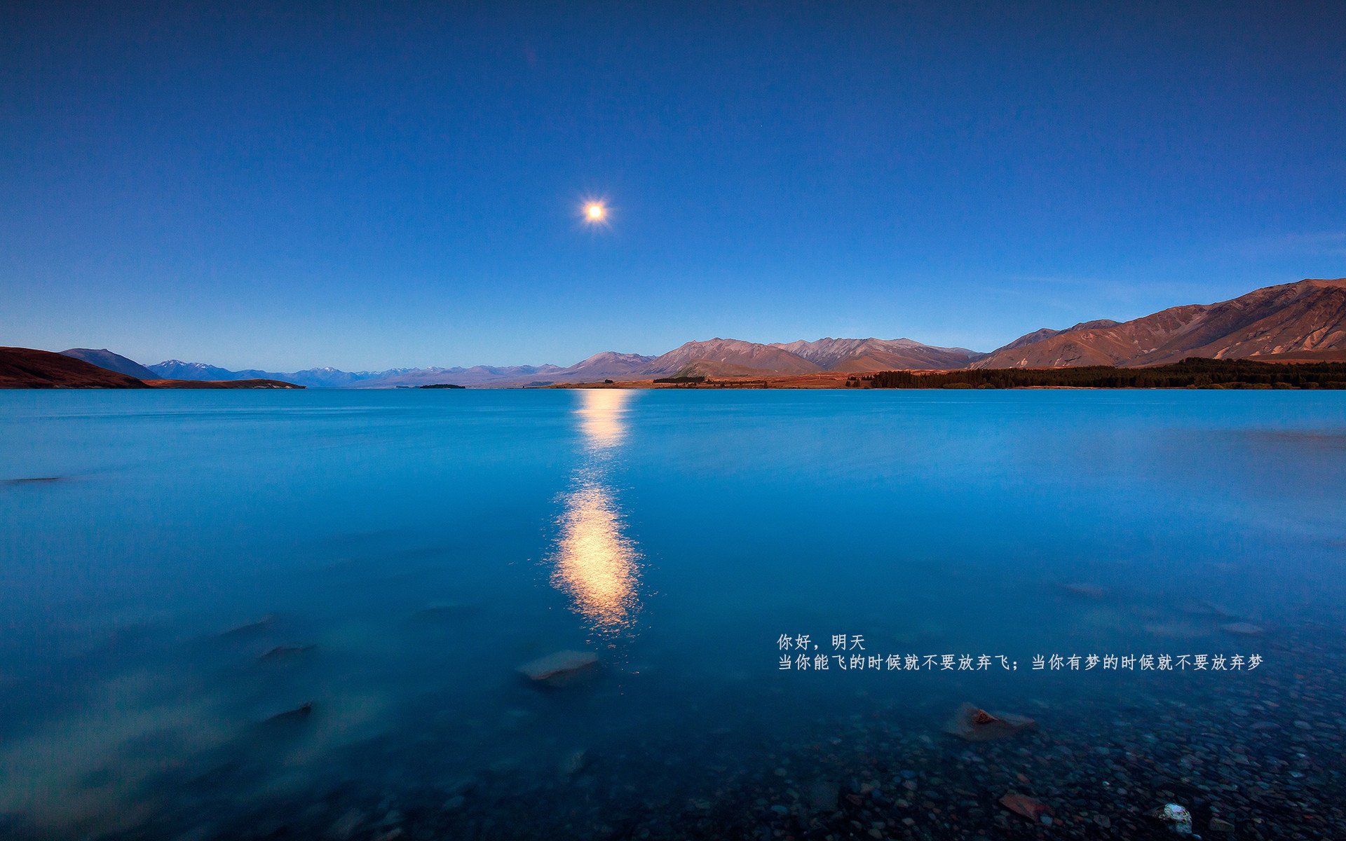巨星划破夜空,多特蒙德的瑞士双刃剑
