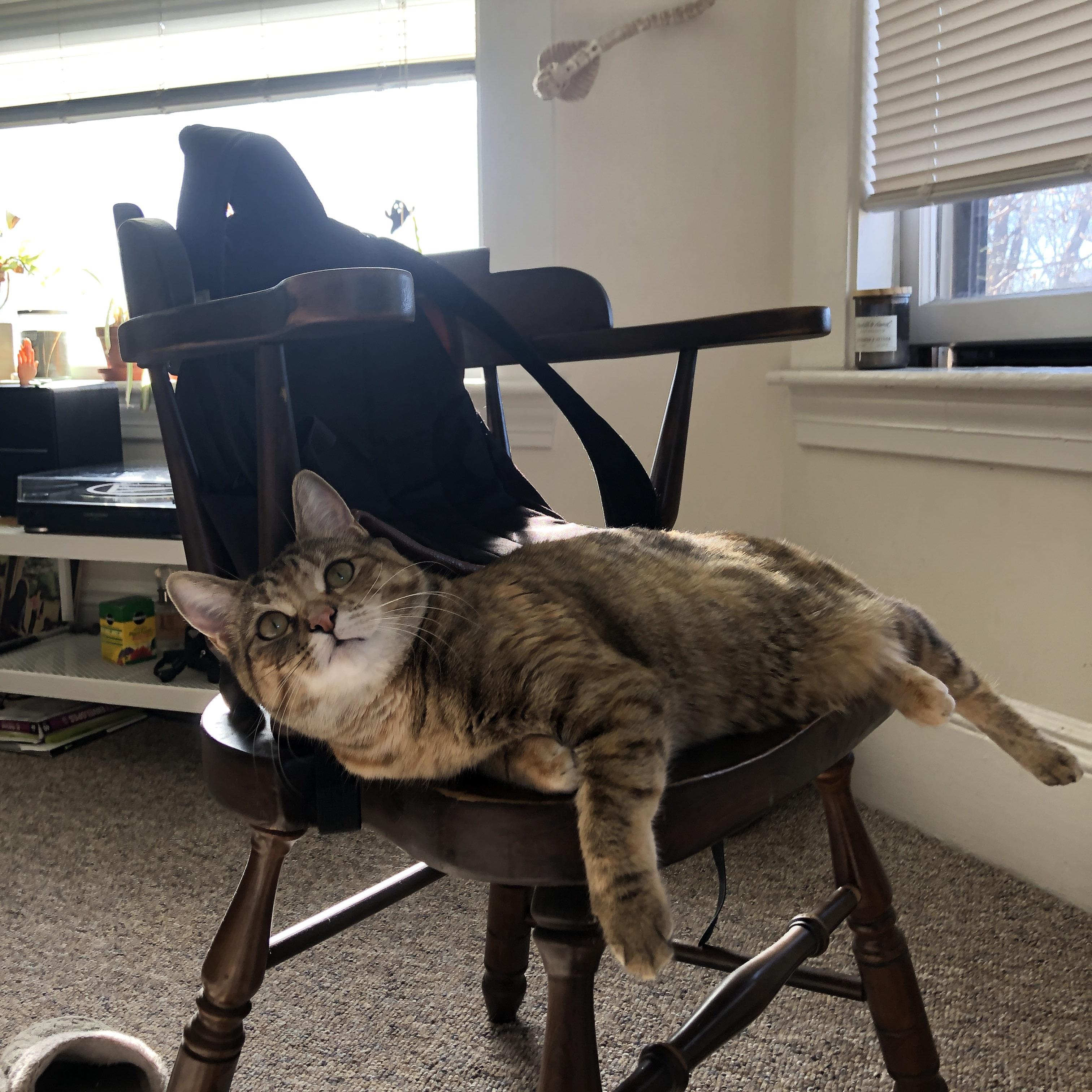 布鲁克林的东方答卷，霍勒迪连续七分一锤定音