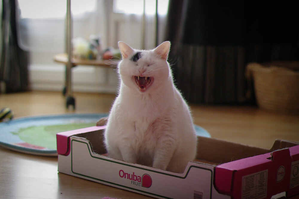 命运的岔路，时代的对望，爱德华兹50分狂潮与迈阿密-圣城鏖战记