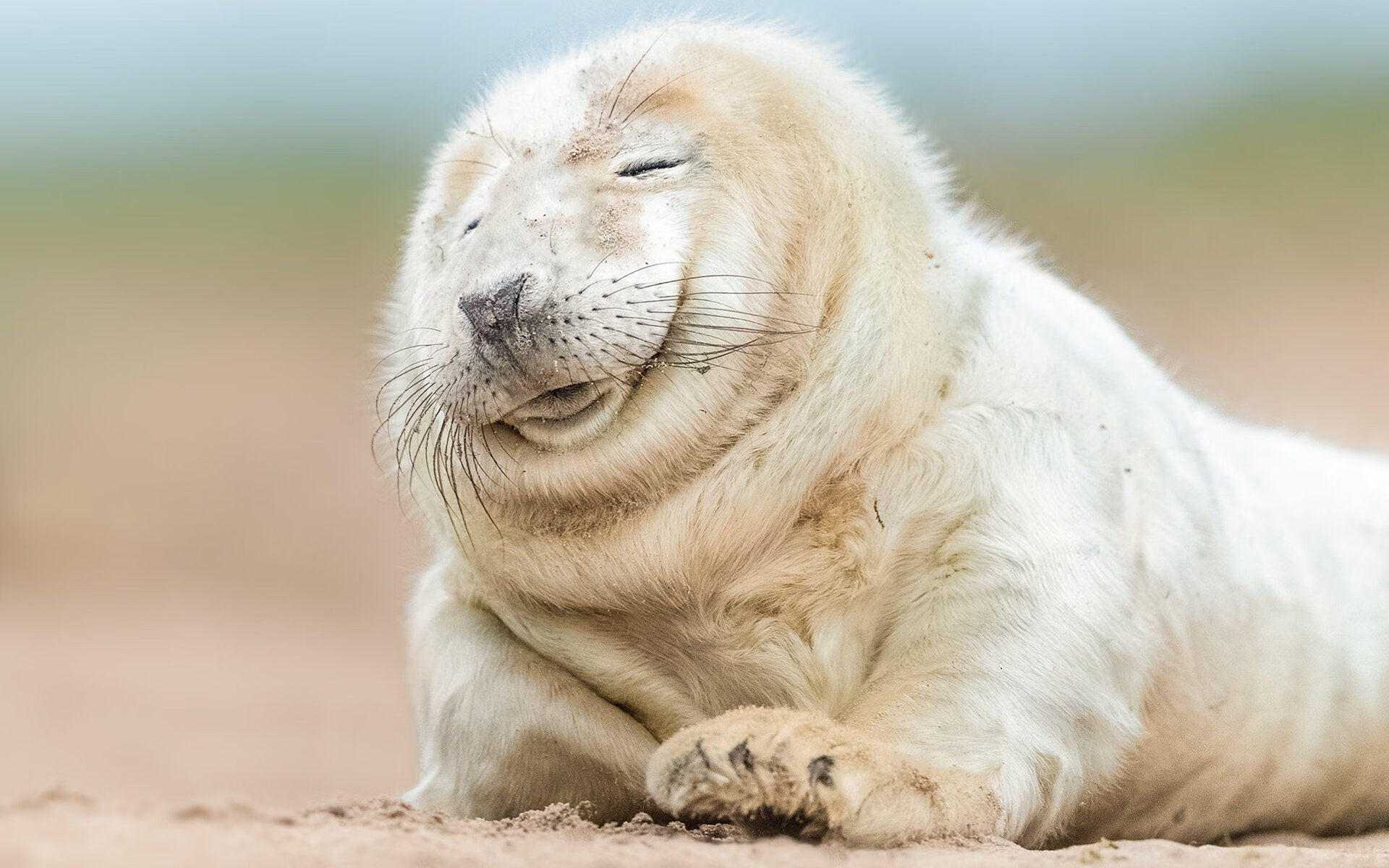 爱游戏官方-另类德比，摩洛哥血拼秘鲁的战术迷局，与如何锁死克瓦拉茨赫利亚