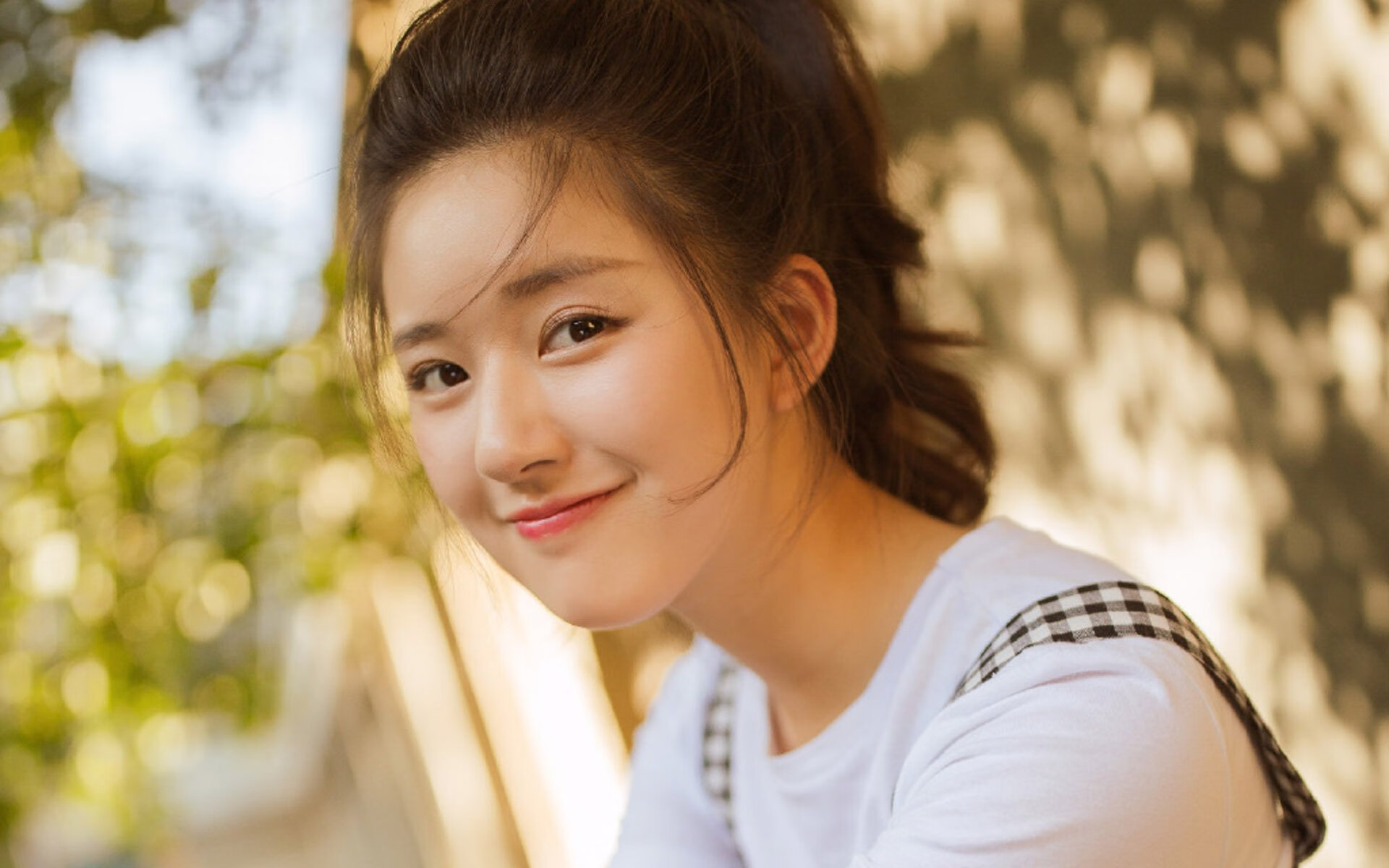 双城记，达拉斯的雪与夏洛特的风