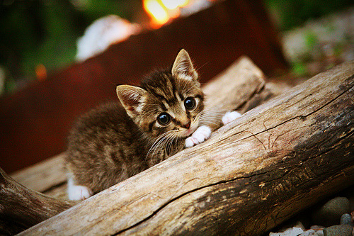 法老咒语VS安达卢西亚魔法，当埃及金字塔迎战塞维利亚钟楼