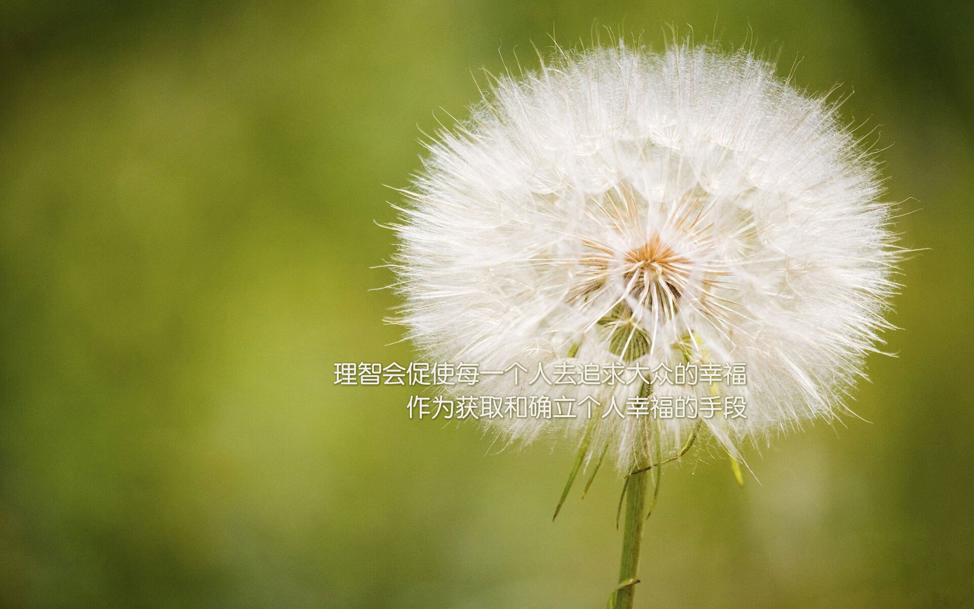 柏林墙下的红色风暴,2026世界杯C组,匈牙利用一场胜利改写了宿命,穆西亚拉引领德国新纪元