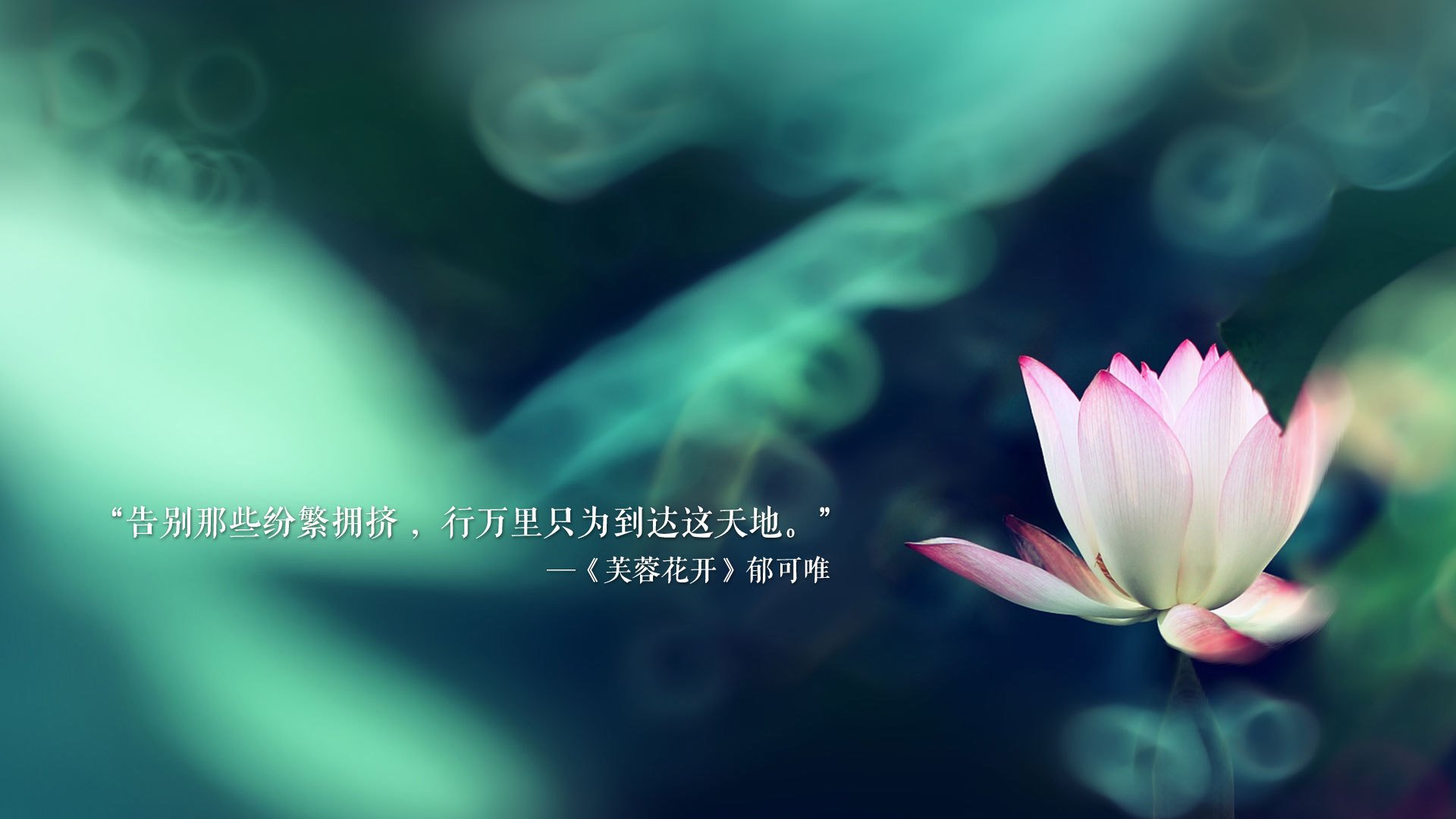 十年轮回，当传控基因重写2026剧本，京多安刺穿郁金香最后的防线